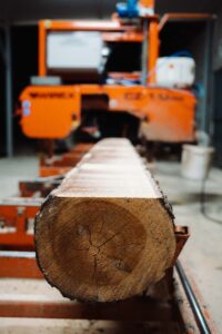 PrzyjaznyFotograftartak-10